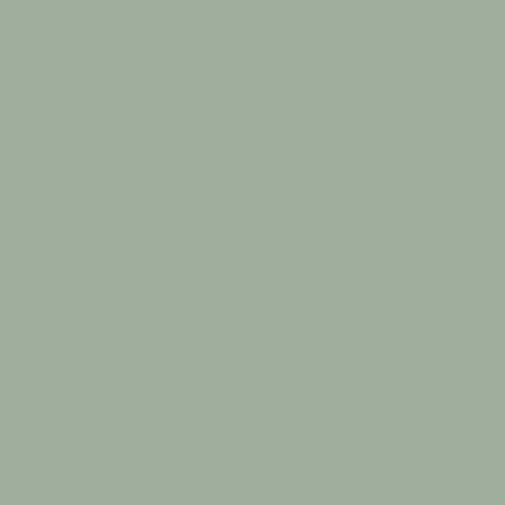 Dulux Heritage - Sage Green