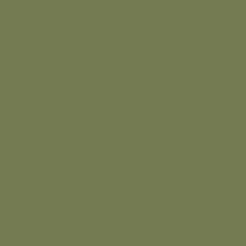 Farrow & Ball - Sap Green No.199