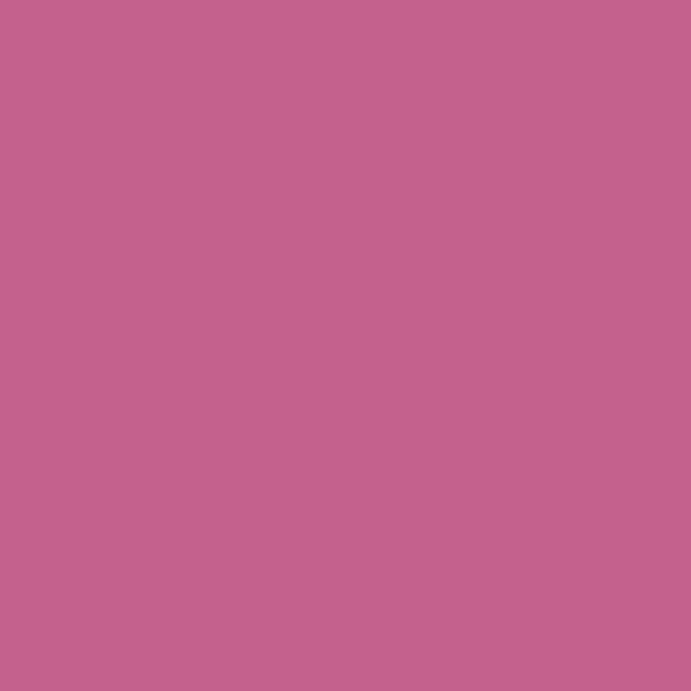 ZINSSER ALLCOAT EXTERIOR GLOSS WATER BASED RAL 4003 2.5L