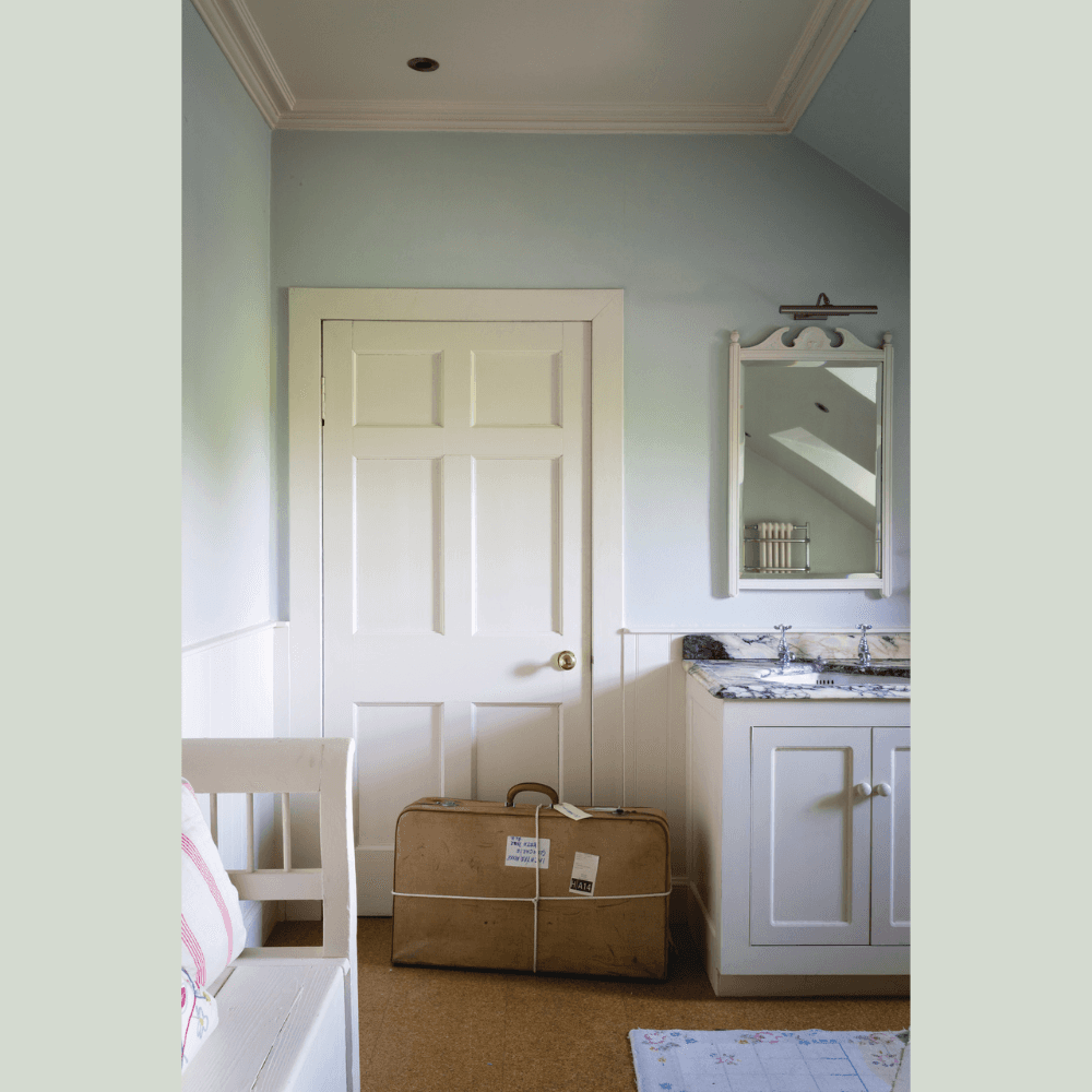 FARROW & BALL NEW DEAD FLAT 204 PALE POWDER 2.5L