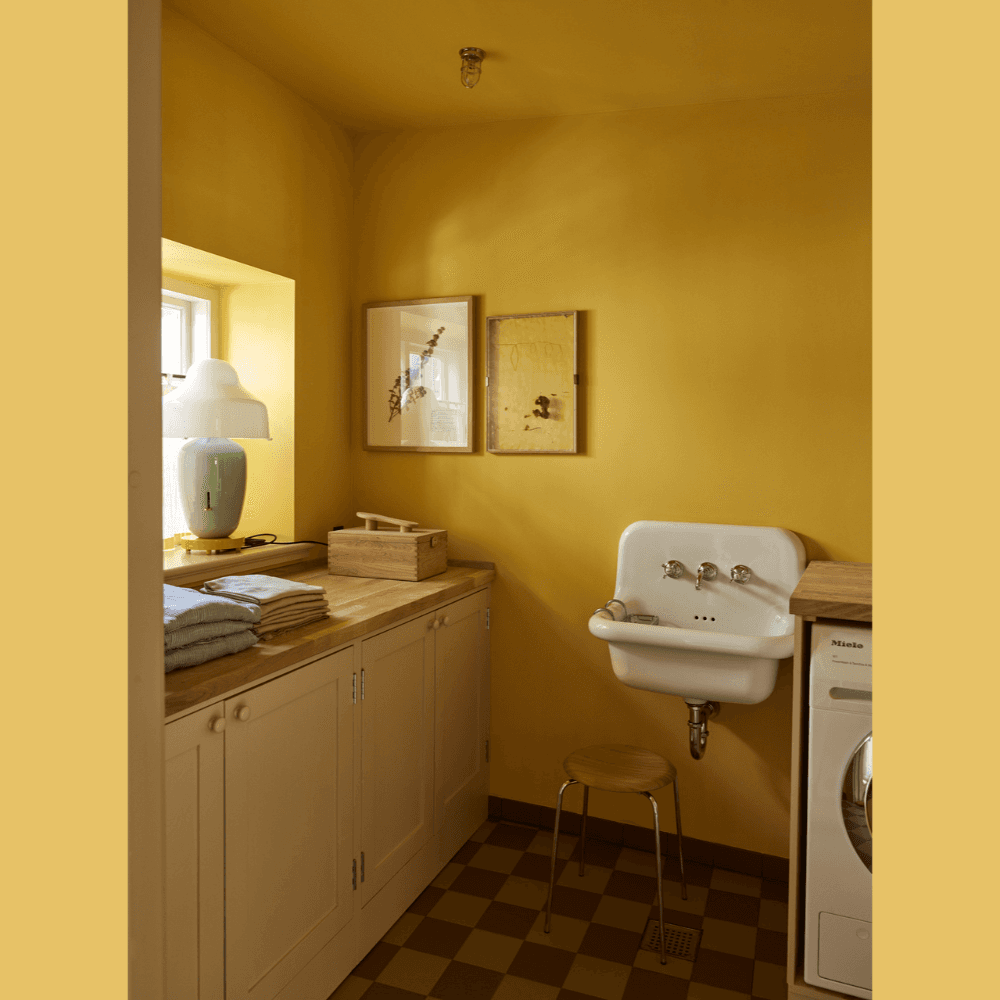 FARROW & BALL DEAD FLAT 223 BABOUCHE 2.5L