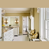 FARROW & BALL NEW DEAD FLAT 240 CATS PAW 2.5L