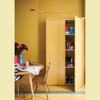 FARROW & BALL NEW DEAD FLAT 249 LANCASTER YELLOW 2.5L