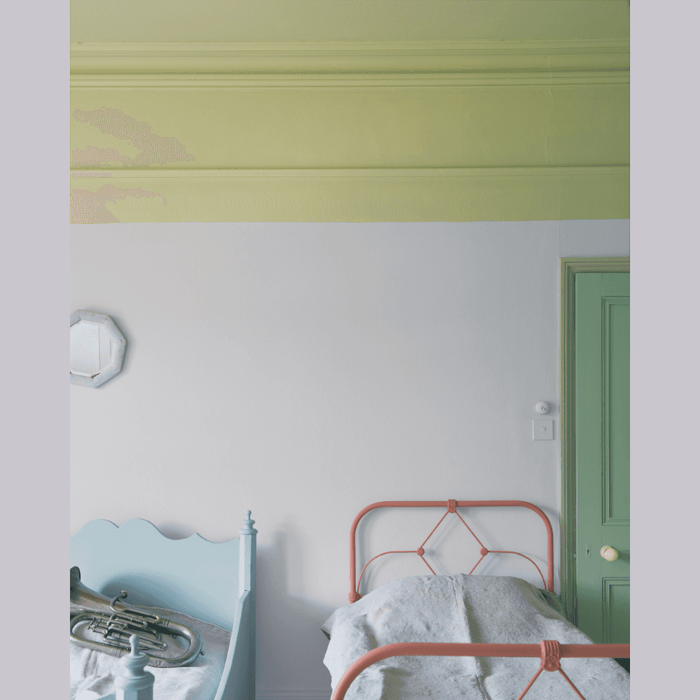 FARROW & BALL EXTERIOR EGGSHELL 270 CALLUNA 750ML