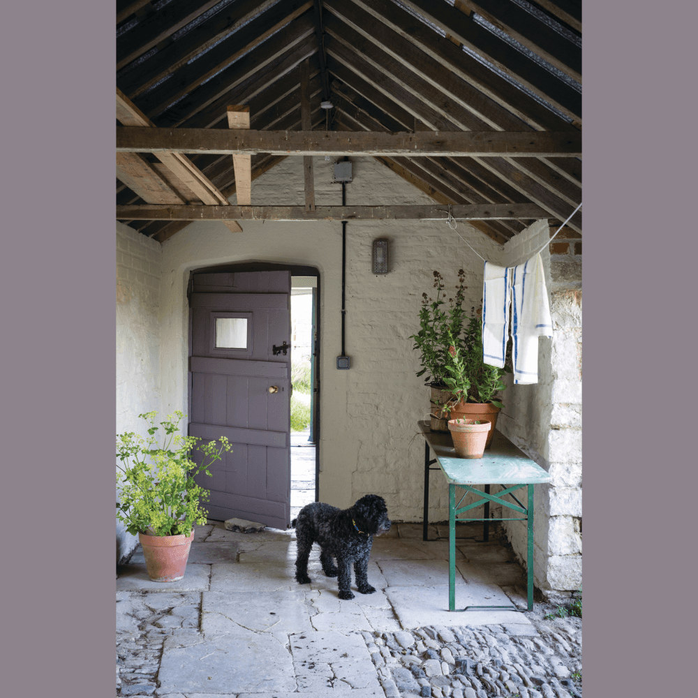 FARROW & BALL EXTERIOR EGGSHELL 271 BRASSICA 2.5L
