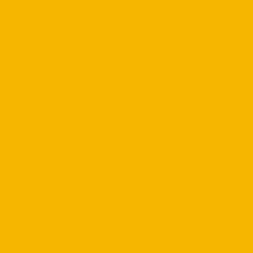 ZINSSER PERMAWHITE INTERIOR MATT RAL 1023 1L