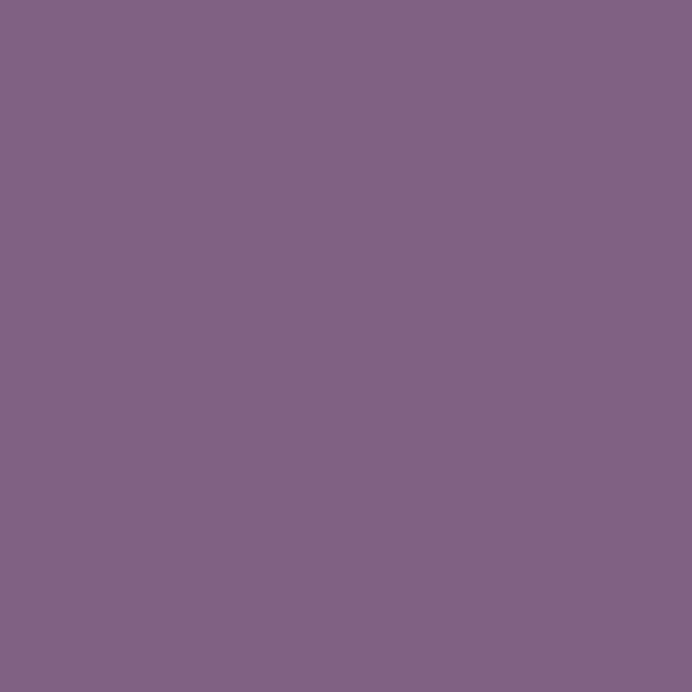 ZINSSER ALLCOAT EXTERIOR GLOSS WATER BASED RAL 4001 5L