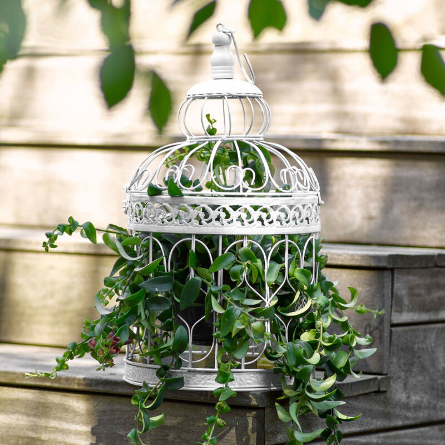 SANDTEX 10 YEAR MULTI SURFACE QD GLOSS BRILLIANT WHITE 2.5L