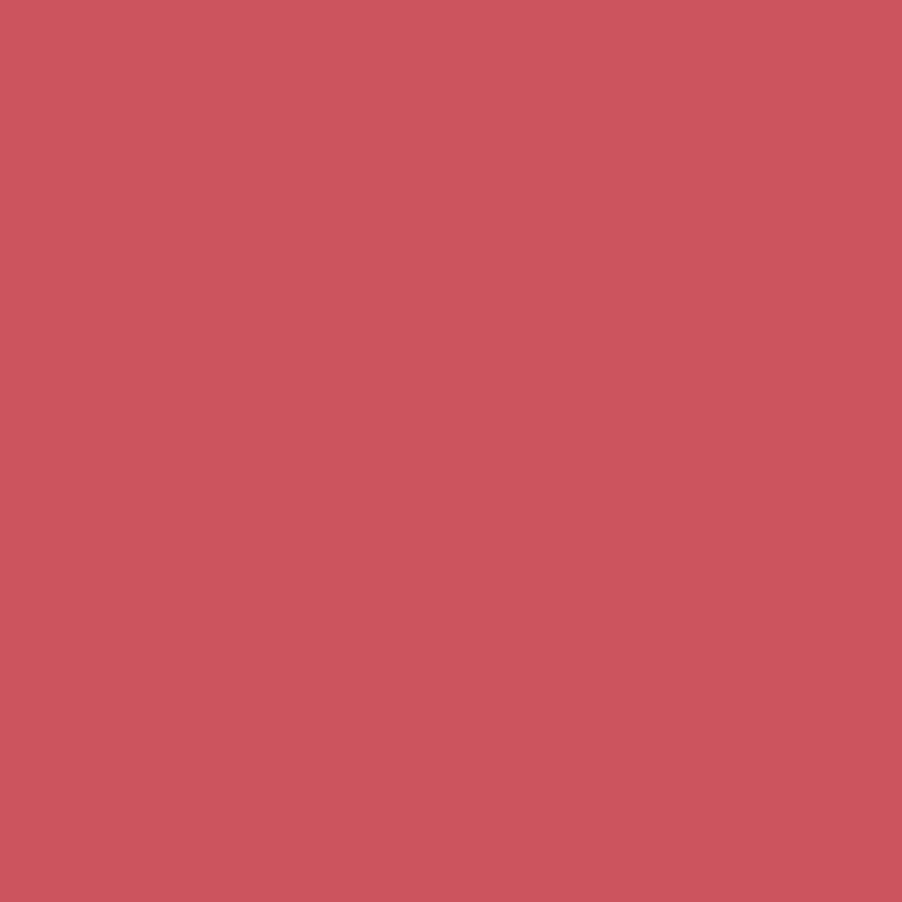 ZINSSER ALLCOAT EXTERIOR SATIN WATER BASED RAL 3017 1L
