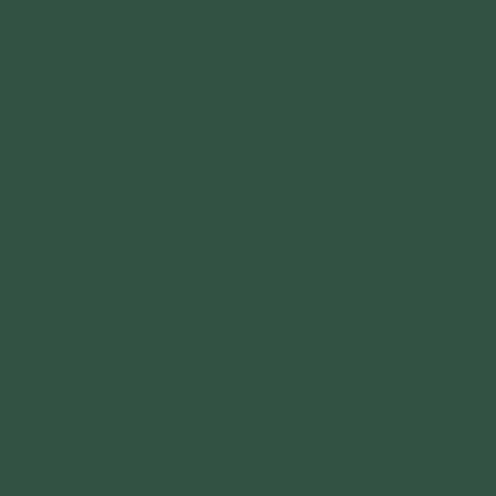 ZINSSER ALLCOAT EXTERIOR SATIN WATER BASED RAL 6028 5L