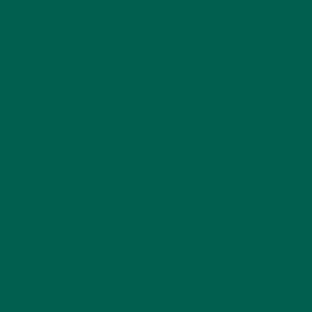 ZINSSER ALLCOAT EXTERIOR GLOSS WATER BASED RAL 6026 2.5L