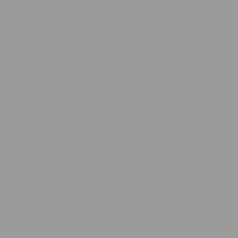 ZINSSER PERMAWHITE INTERIOR MATT RAL 7004 2.5L