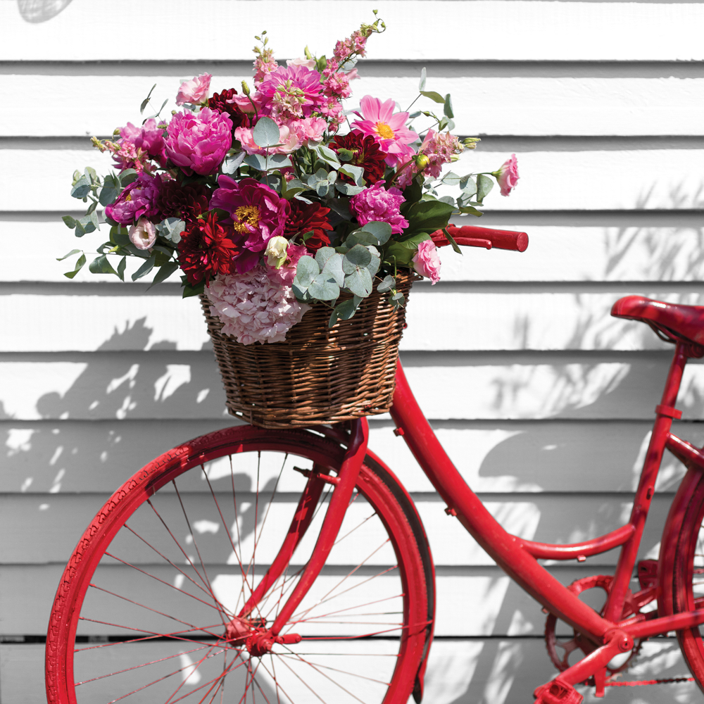 SANDTEX 10 YEAR GLOSS BRILLIANT WHITE 2.5L