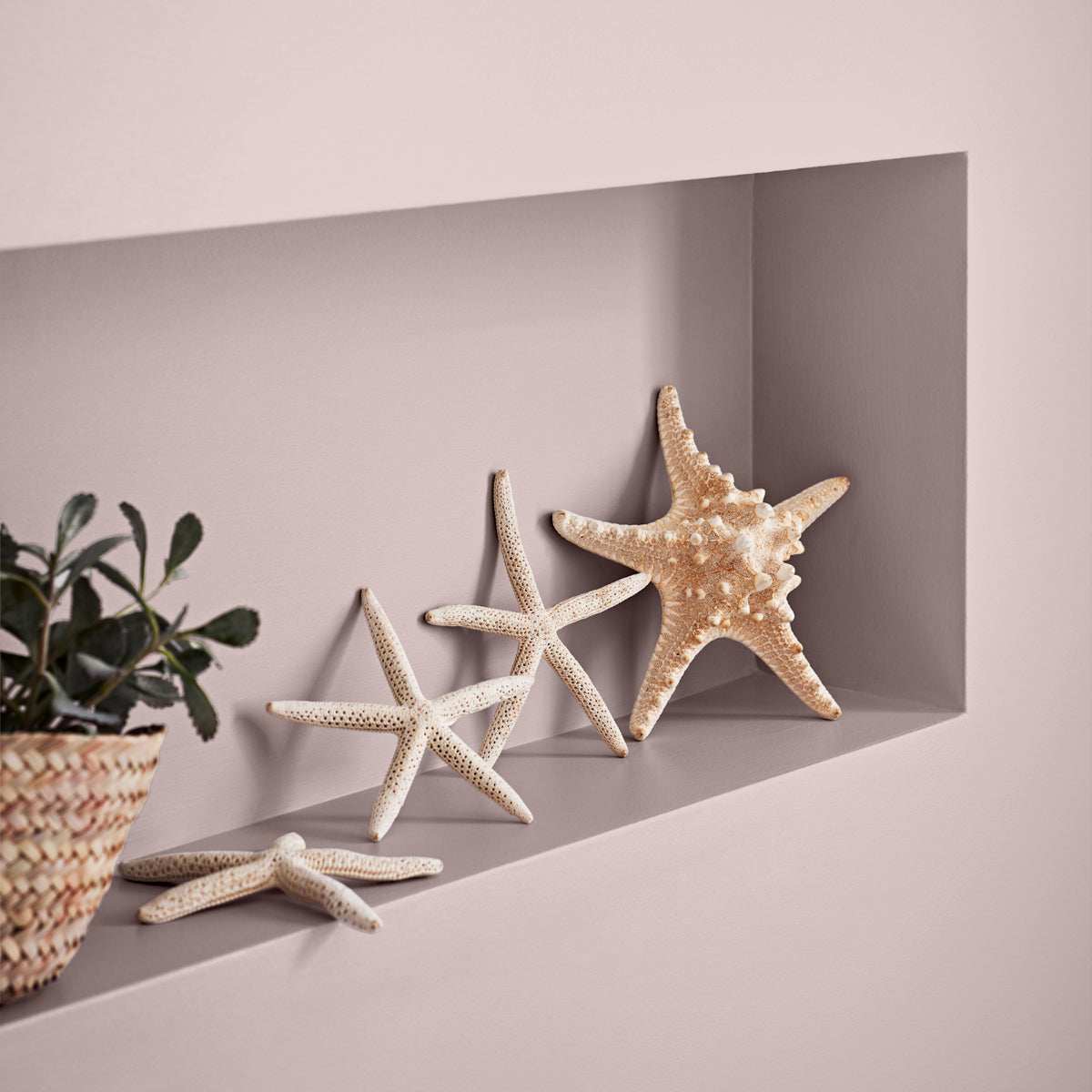 CROWN EASYCLEAN BATHROOM PASHMINA 2.5L