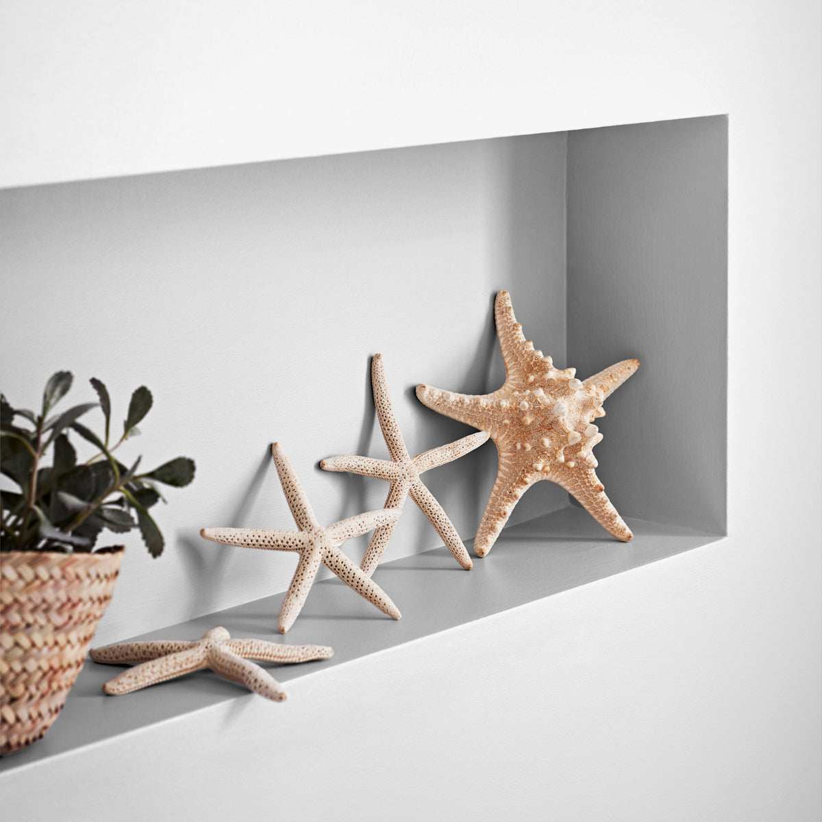 CROWN EASYCLEAN BATHROOM BRILLIANT WHITE 2.5L