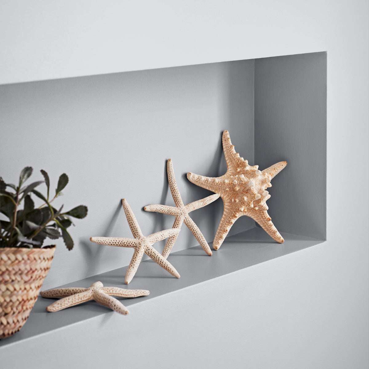 CROWN EASYCLEAN BATHROOM SOFT STEEL 2.5L