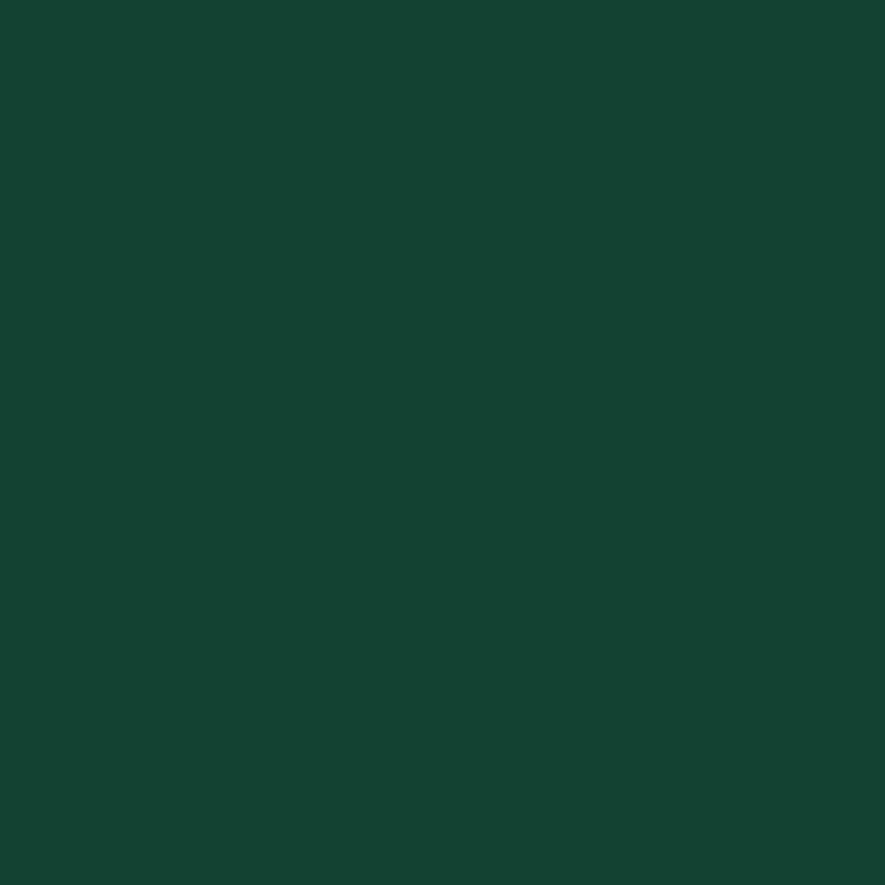 ZINSSER PERMAWHITE INTERIOR MATT RAL 6005 1L