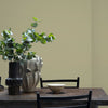 CRAIG & ROSE 1829 CHALKY EMULSION TAPESTRY GREEN 2.5L