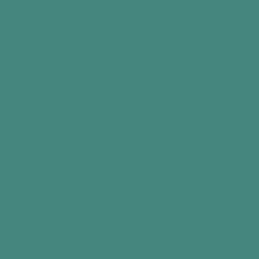 ZINSSER ALLCOAT EXTERIOR GLOSS WATER BASED RAL 6033 5L