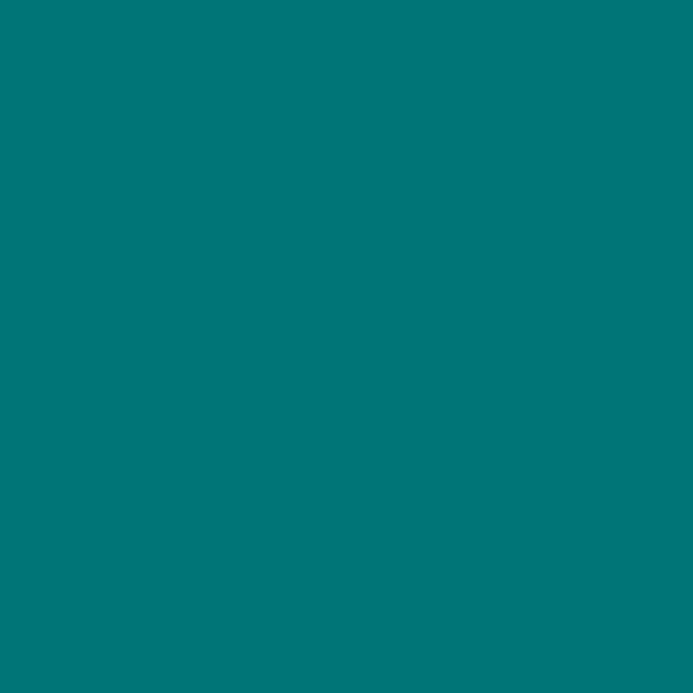 ZINSSER ALLCOAT EXTERIOR MATT WATER BASED RAL 5021 5L