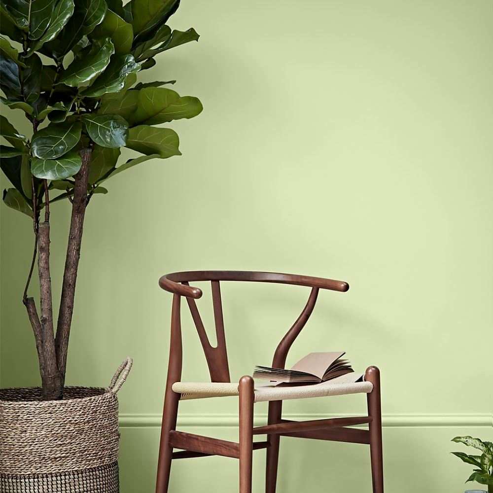 CROWN TRADE VINYL MATT SOFT LIME 5L