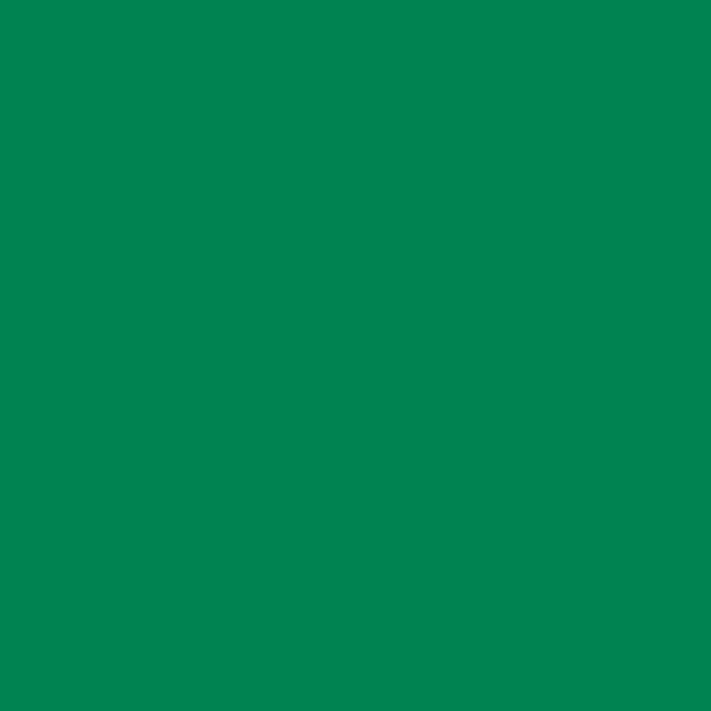 ZINSSER ALLCOAT EXTERIOR MATT WATER BASED RAL 6024 2.5L
