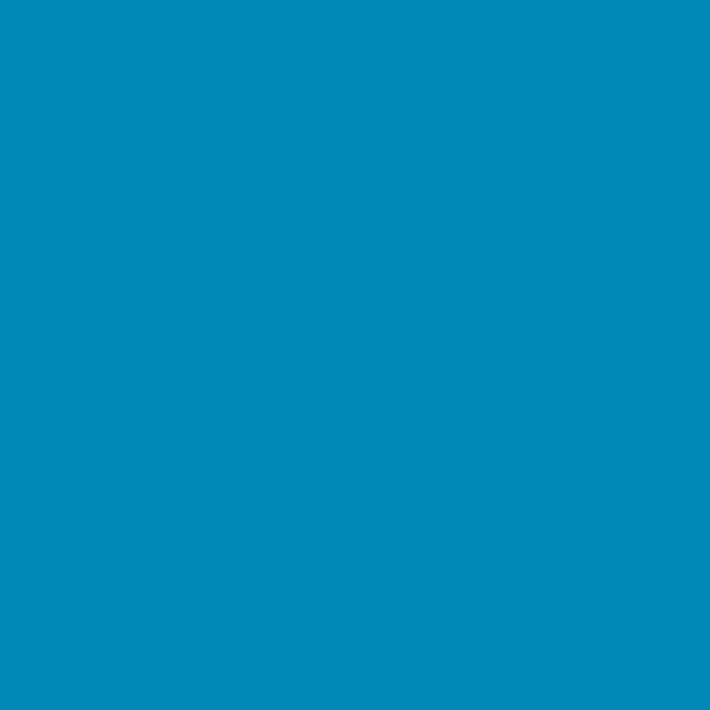 ZINSSER PERMAWHITE INTERIOR SATIN RAL 5012 1L