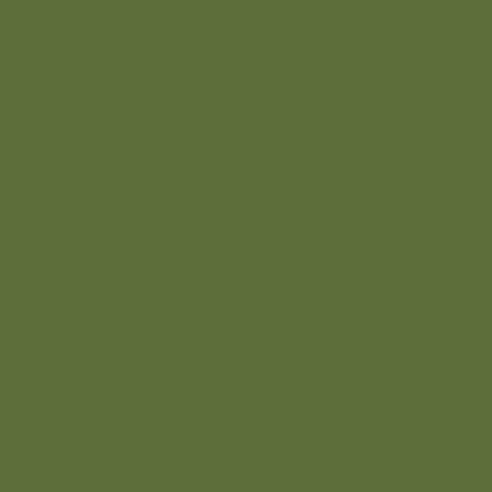 ZINSSER BULLS EYE 123 PRIMER RAL 6025 1L
