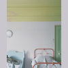 FARROW & BALL FLAT EGGSHELL 270 CALLUNA 2.5L