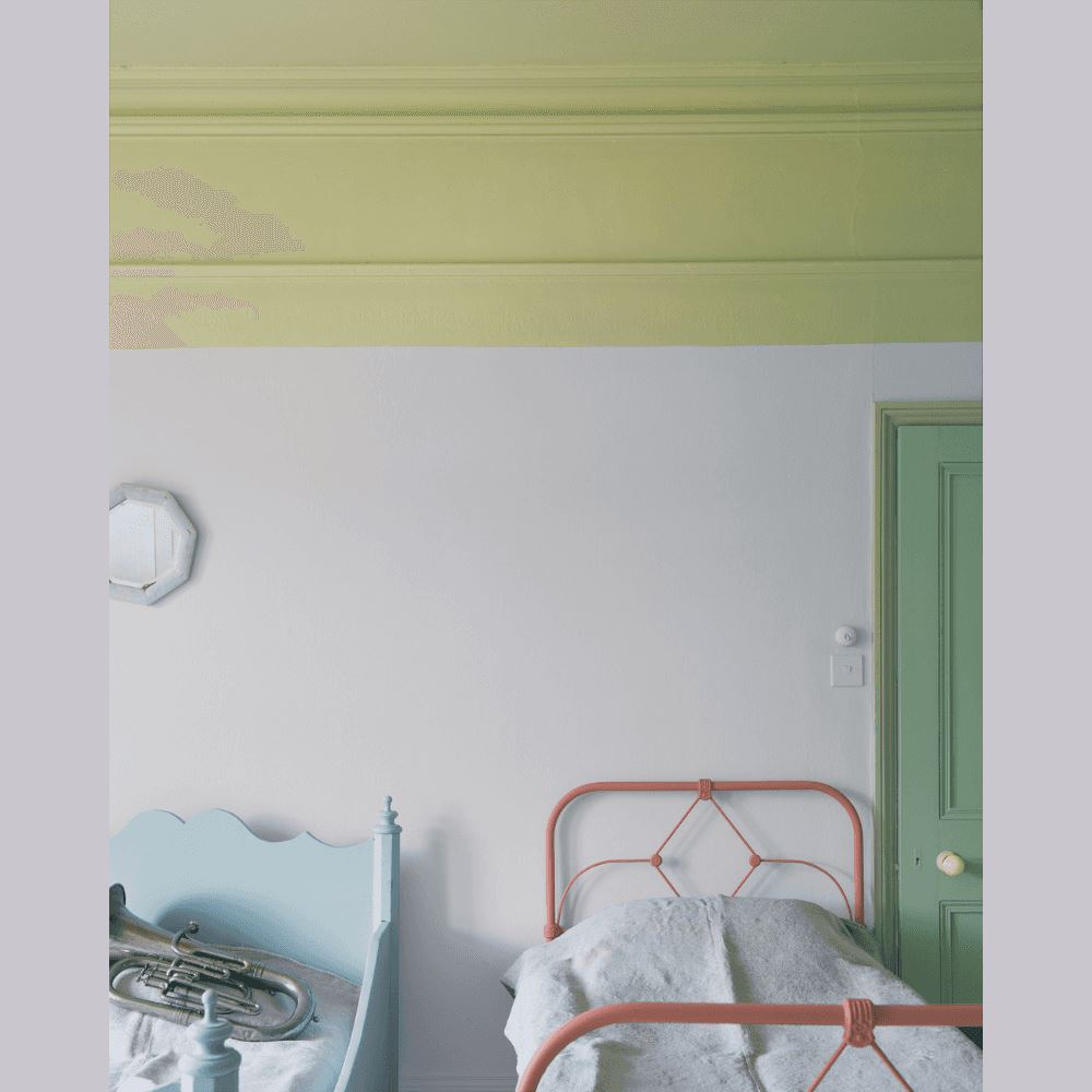 FARROW & BALL FLAT EGGSHELL 270 CALLUNA 2.5L