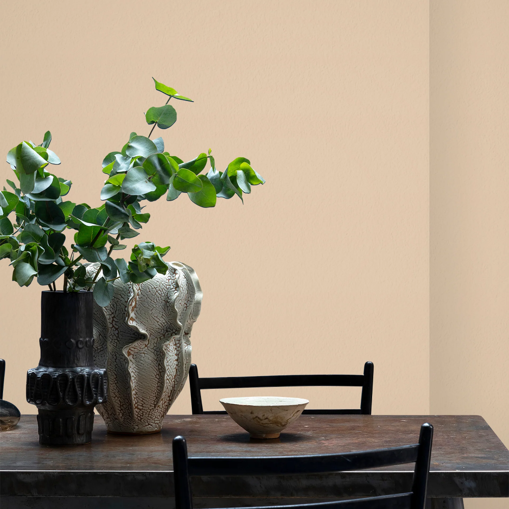 CRAIG & ROSE 1829 CHALKY EMULSION DEEP SUNG CREAM 5L