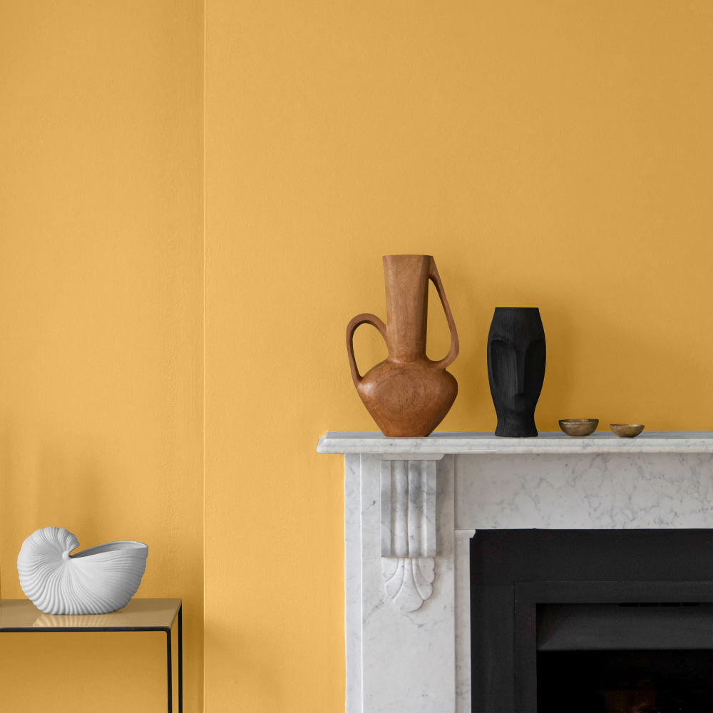 CRAIG & ROSE 1829 CHALKY EMULSION JAROSITE 5L