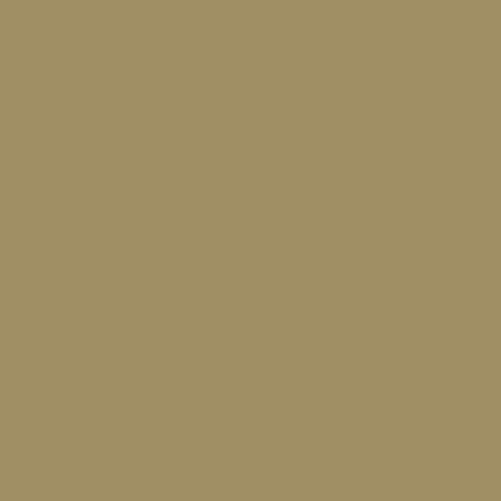 ZINSSER ALLCOAT EXTERIOR MATT WATER BASED RAL 1020 2.5L