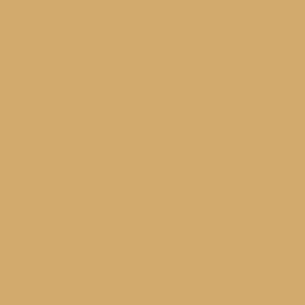 ZINSSER ALLCOAT EXTERIOR GLOSS WATER BASED RAL 1002 2.5L
