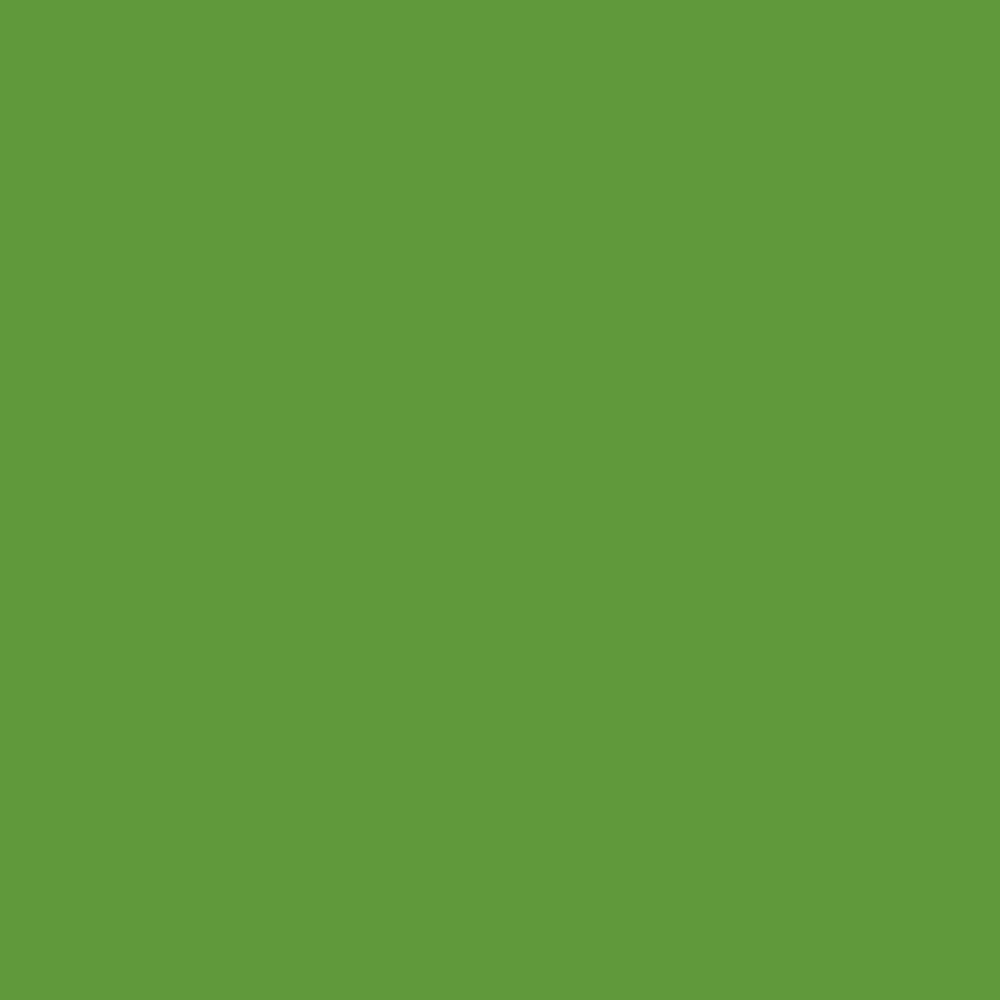 ZINSSER ALLCOAT EXTERIOR GLOSS WATER BASED RAL 6018 5L