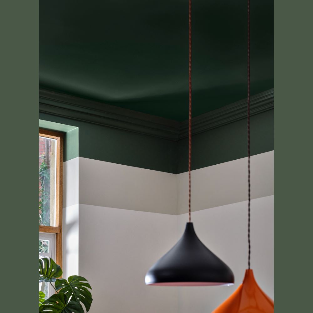 CROWN WALLS AND CEILINGS MATT WOODLAND WANDERER 2.5L