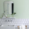 CRAIG & ROSE 1829 CHALKY EMULSION SOFT GREEN 5L