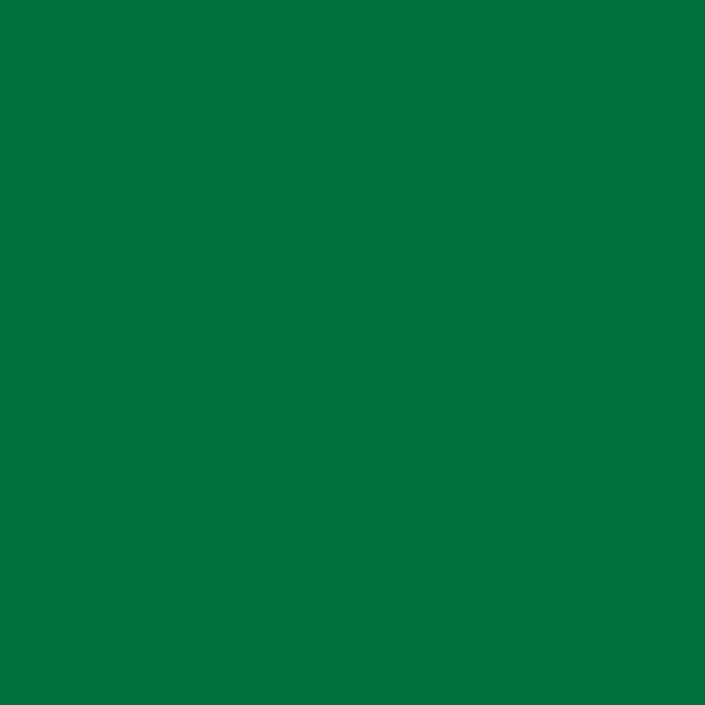 ZINSSER PERMAWHITE INTERIOR MATT RAL 6029 5L