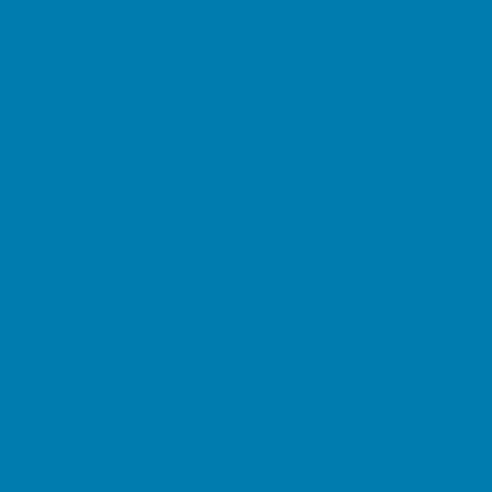 ZINSSER ALLCOAT EXTERIOR MATT WATER BASED RAL 5015 5L