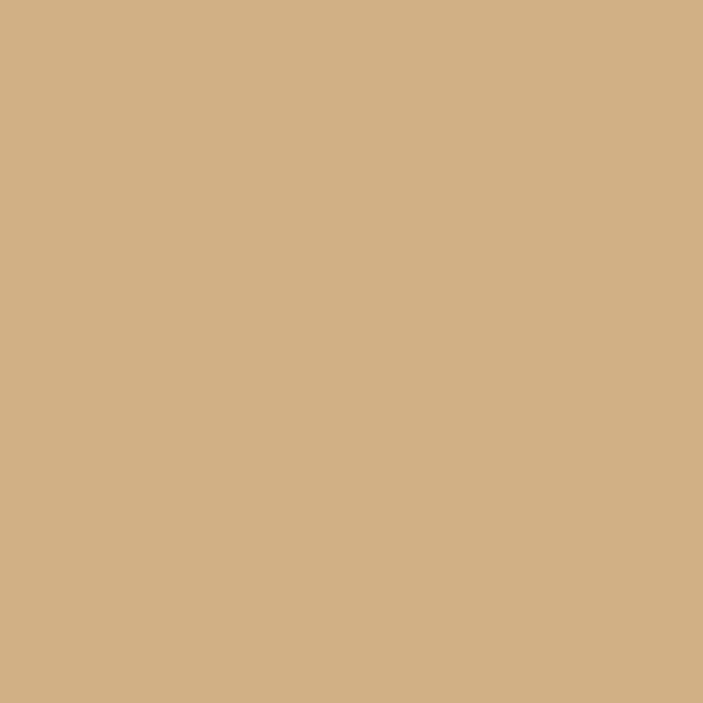 ZINSSER ALLCOAT EXTERIOR MATT WATER BASED RAL 1001 2.5L