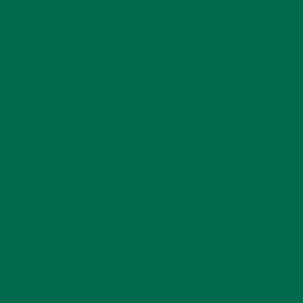 ZINSSER ALLCOAT EXTERIOR MATT WATER BASED RAL 6016 2.5L