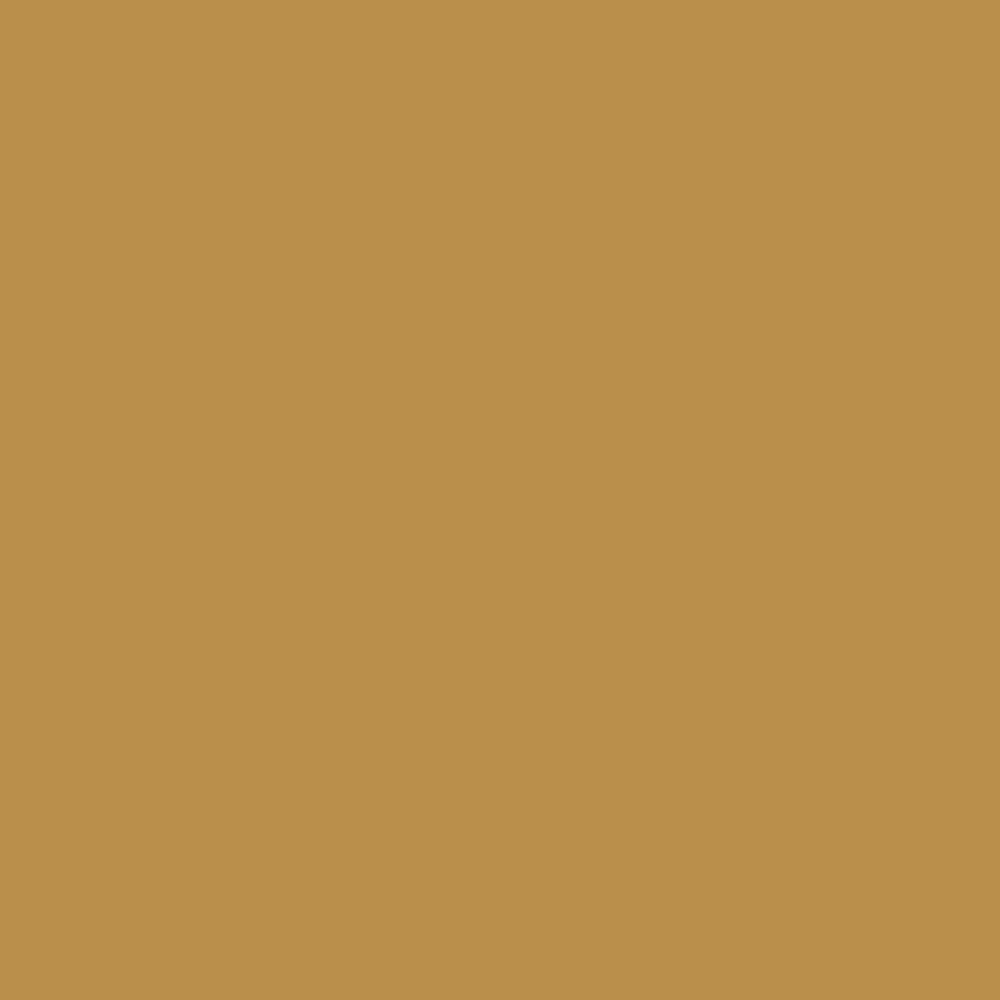 ZINSSER ALLCOAT EXTERIOR SATIN WATER BASED RAL 1024 1L