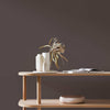 CRAIG & ROSE 1829 CHALKY EMULSION CLOVE BROWN 5L