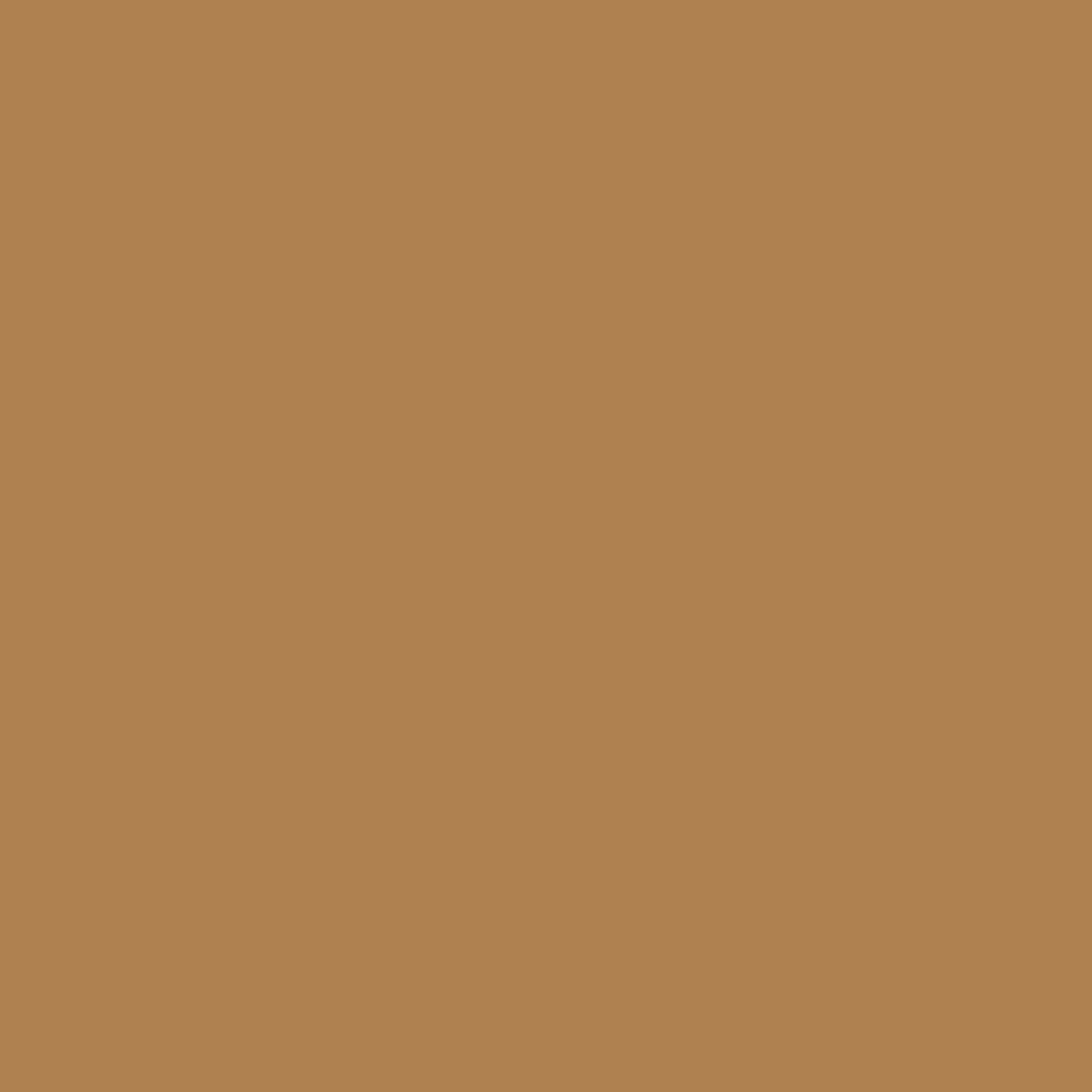 ZINSSER BULLS EYE 123 PRIMER RAL 1011 1L