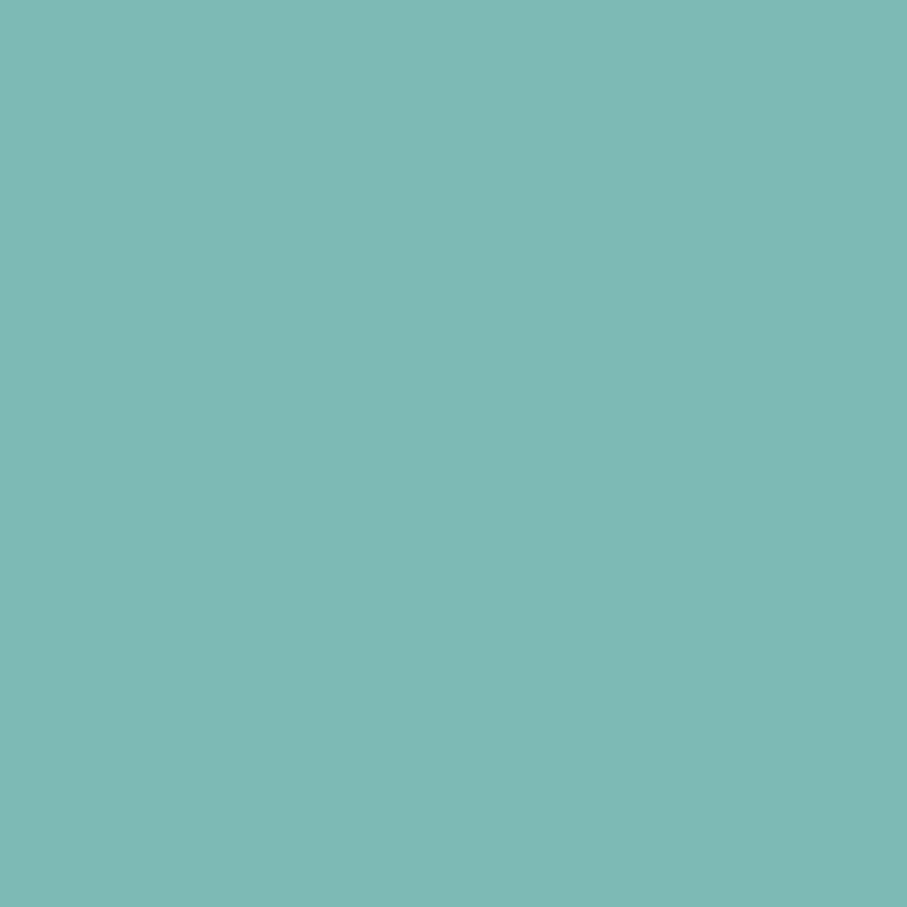 ZINSSER ALLCOAT EXTERIOR MATT WATER BASED RAL 6027 5L