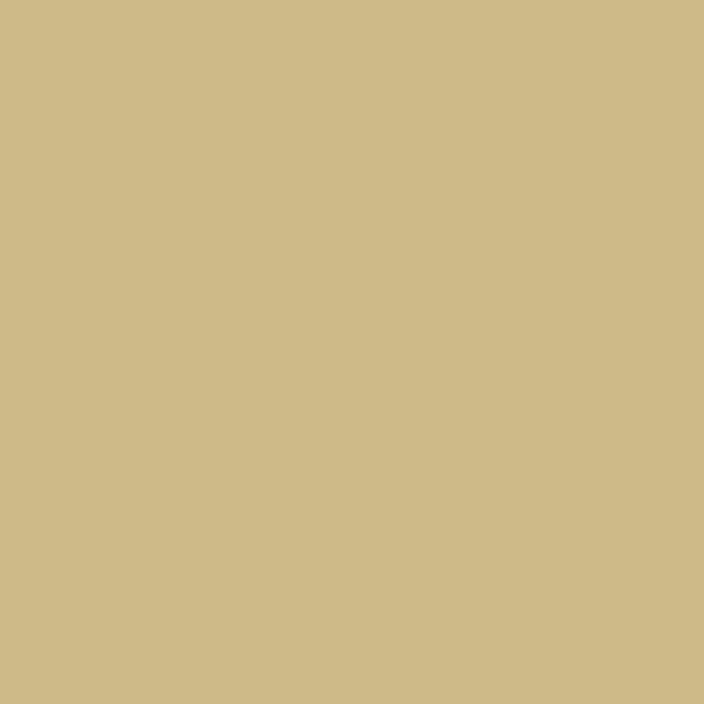ZINSSER ALLCOAT EXTERIOR MATT WATER BASED RAL 1000 2.5L