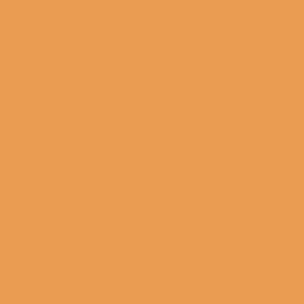 ZINSSER ALLCOAT EXTERIOR MATT WATER BASED RAL 1034 5L