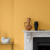 CRAIG & ROSE 1829 CHALKY EMULSION JAROSITE 5L