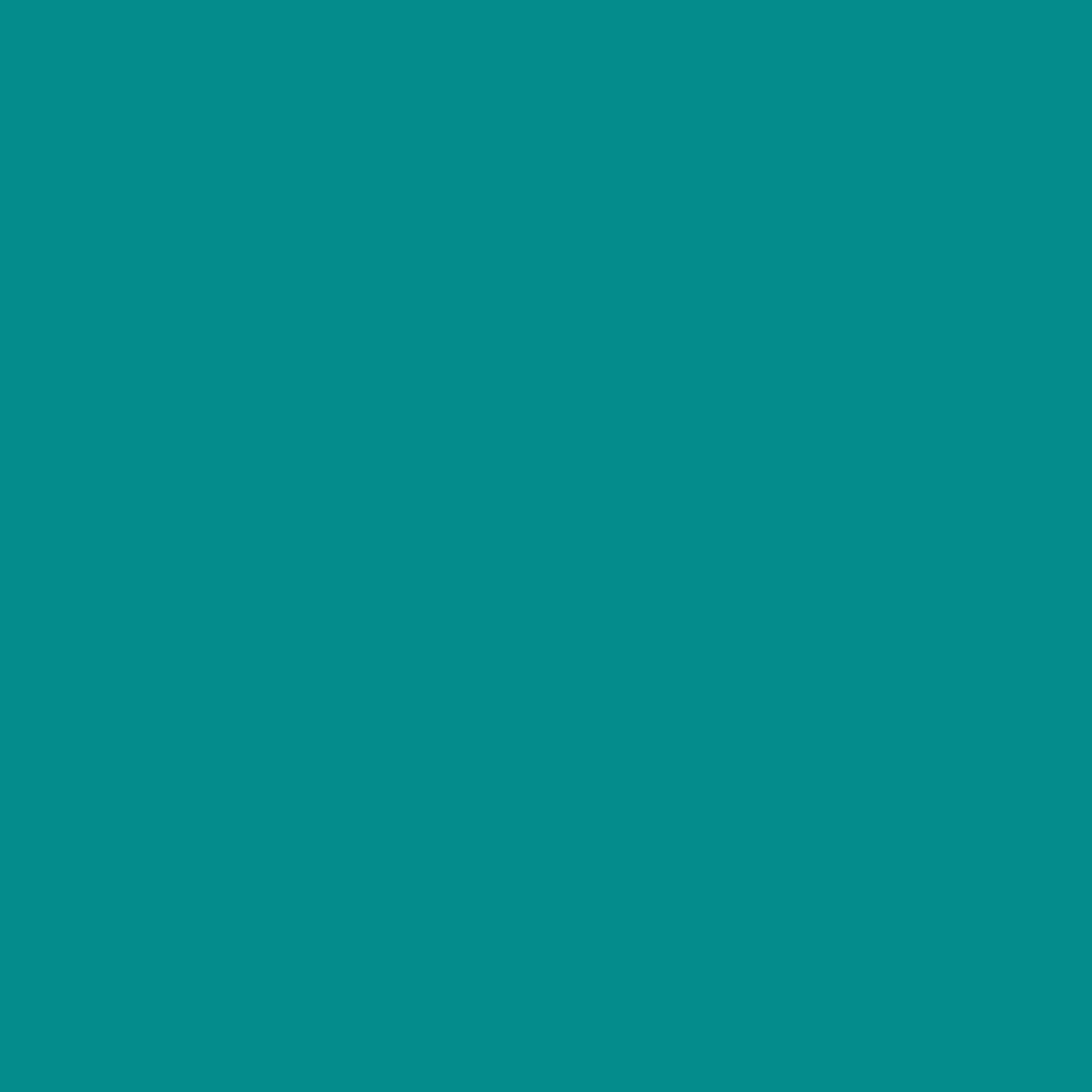 ZINSSER ALLCOAT EXTERIOR MATT WATER BASED RAL 5018 2.5L