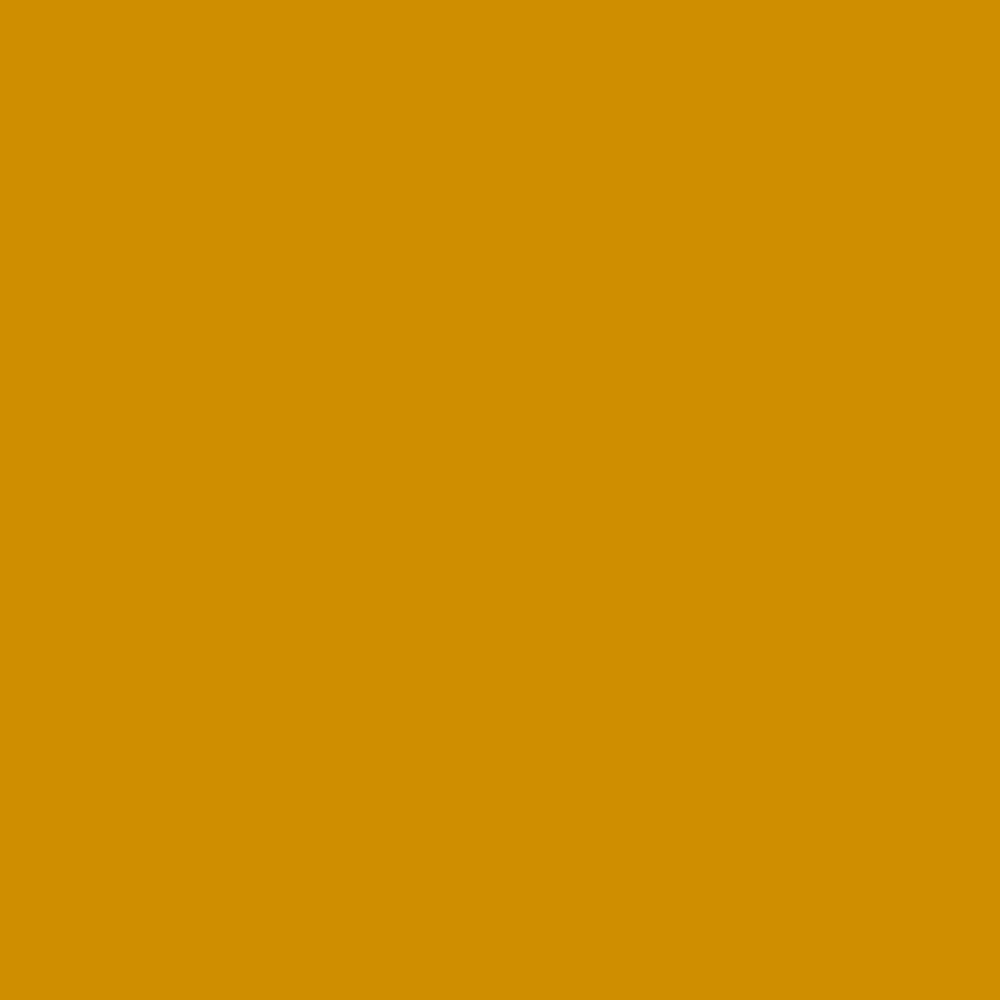 ZINSSER PERMAWHITE INTERIOR MATT RAL 1005 5L